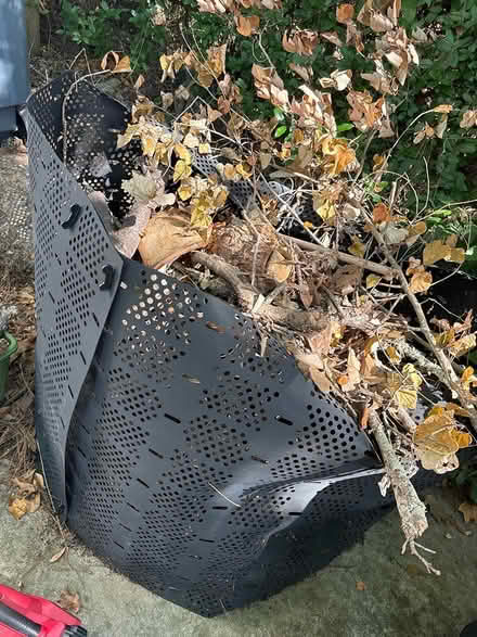 Photo of free Firewood (412 Ingleside Ave. Tallahasse.) #2