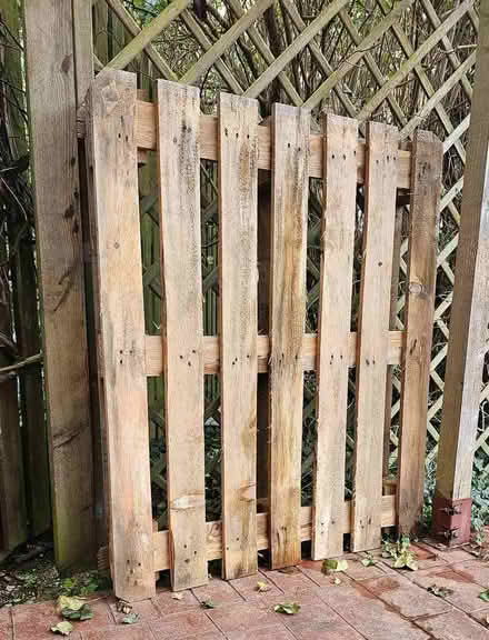 Photo of free Wooden Pallet (Freshbrook SN5) #1