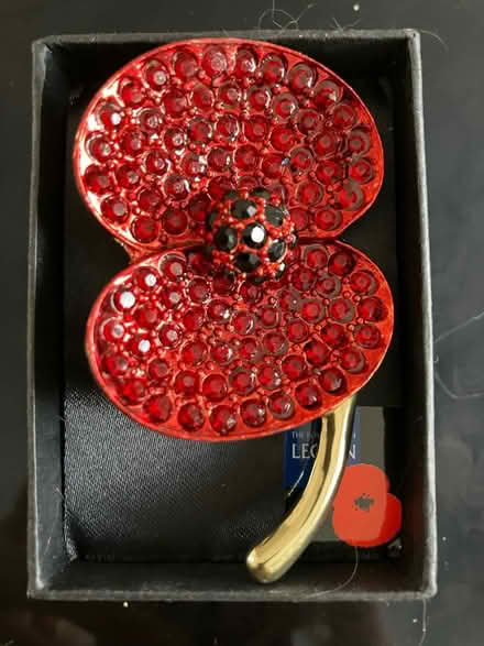 Photo of free Poppy Brooch (Strawberry Hill TW2) #1