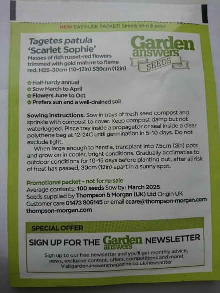 Photo of free Scarlet Sophie marigold seeds (Peachcroft OX14) #1