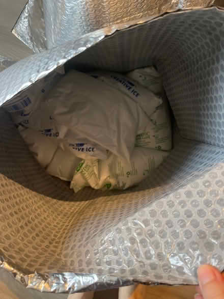 Photo of free Freezer gel pacs (Columbia Heights) #1