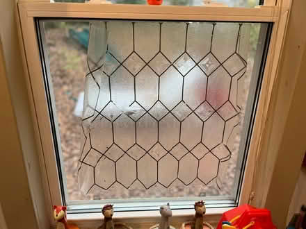 Photo of free Artscape window film (near The Commons) #2
