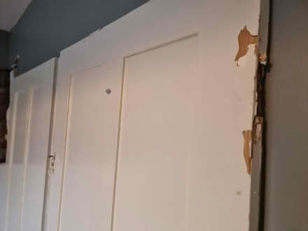 Photo of free Victorian pine cupboard doors Large (Lewisham SE13) #4
