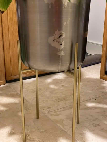 Photo of free Peace Lily with Pot and Stand. (Langham NR25) #2