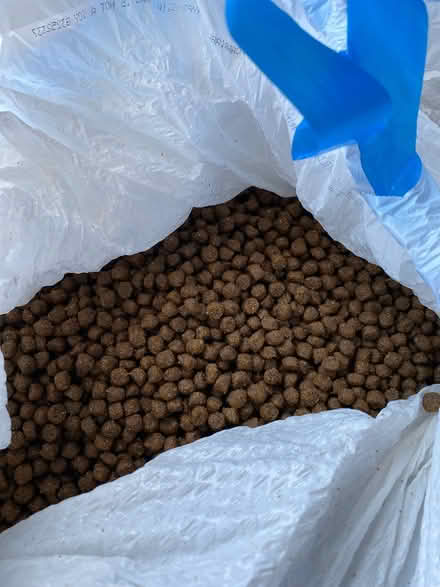 Photo of free Fromm salmon à la veg dog food (Southwest Darien) #1