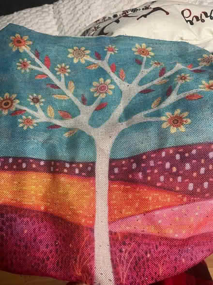 Photo of free Cushion covers (N19) #1