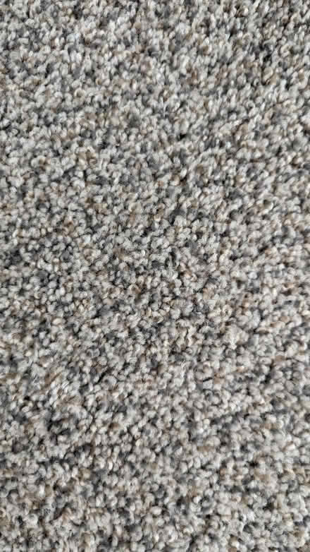Photo of free New carpet remnant (Greenbrae - South Eliseo Drive) #1