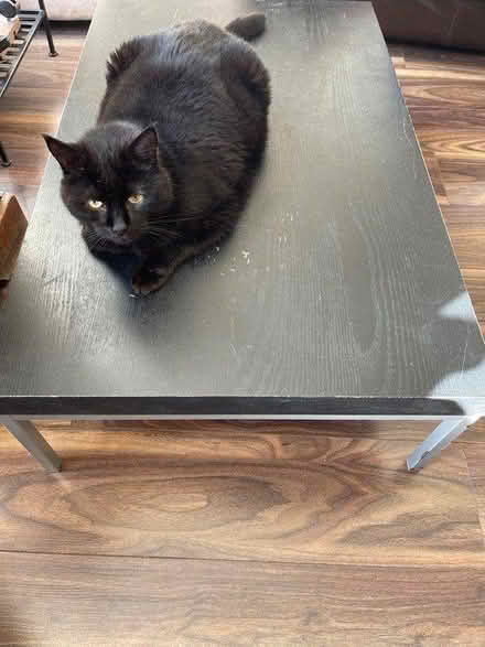 Photo of free Coffee table (SE16 Rotherhithe) #2
