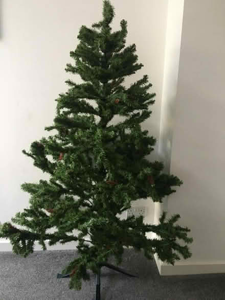 Photo of free christmas tree (Woodley RG5) #1