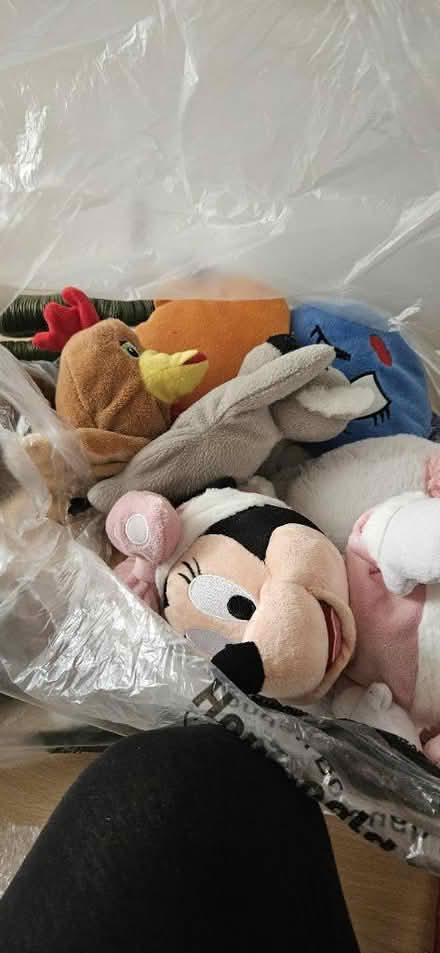 Photo of free Soft toys large bundle (HA2) #4