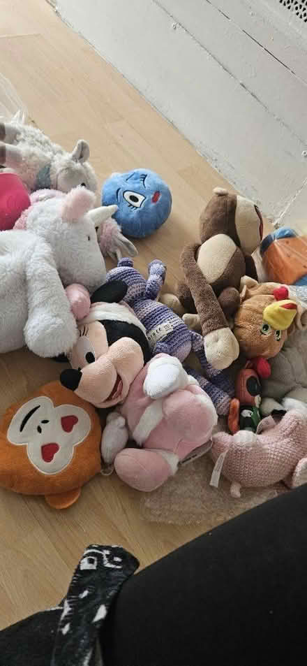 Photo of free Soft toys large bundle (HA2) #3