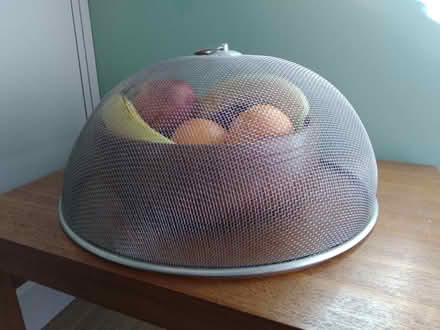 Photo of free Food protector (TN24) #1