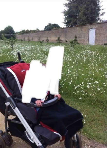 Photo of free Buggy trio Peg Perego (Bedford Putnoe) #4