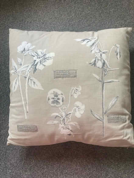 Photo of free Cushion (Pollok) #2