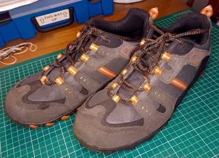 Photo of free Steel Toe Capped Safety Shoes (Harringay N4) #1