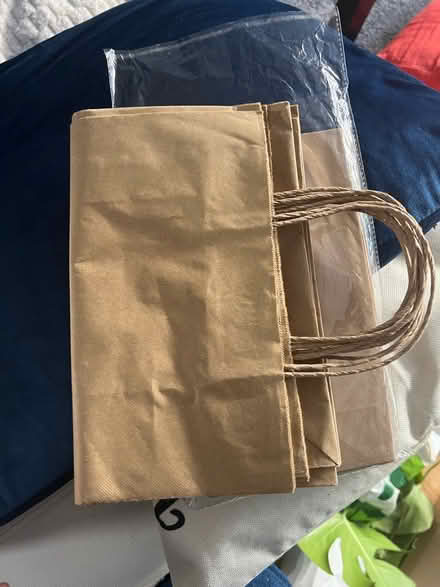 Photo of free Brown Paper Bags (N19) #3