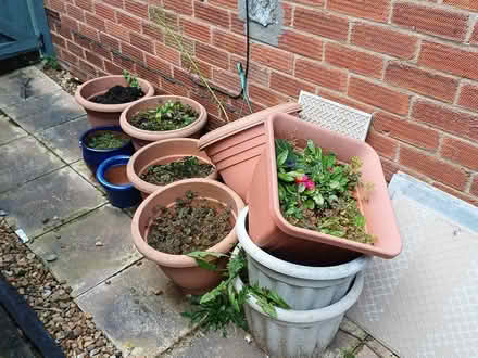 Photo of free Plant pots (Cubbington) #1