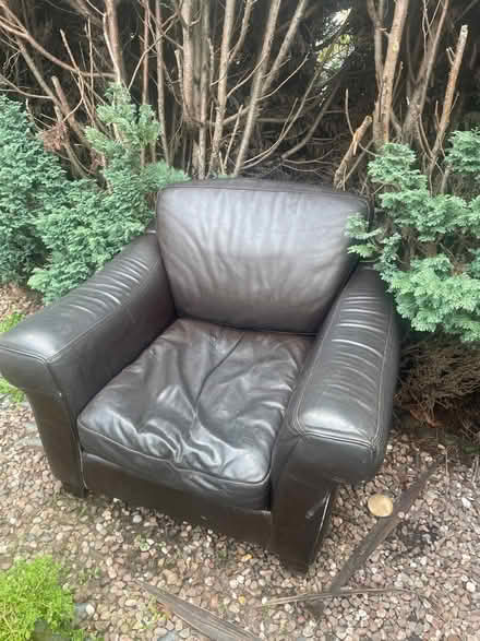 Photo of free Leather armchair (Finchley, N3) #1