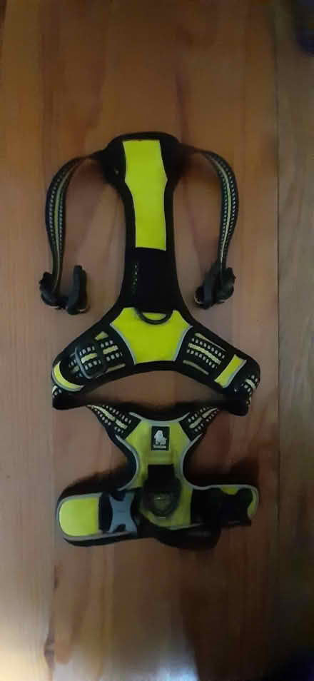 Photo of free Puppy or small dog harness (Town Furze OX3) #1