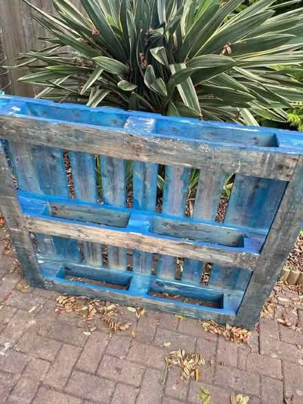 Photo of free Pallets various (Alverthorpe WF2) #1