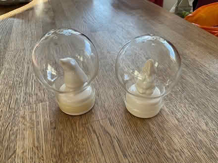 Photo of free Salt and pepper shakers (BA1) #1