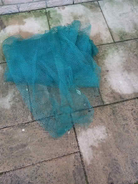 Photo of free Green Netting (IP3 - Near Ipswich Hospital) #1