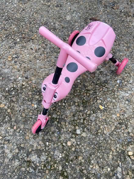 Photo of free Scuttlebug (East Hanney) #1