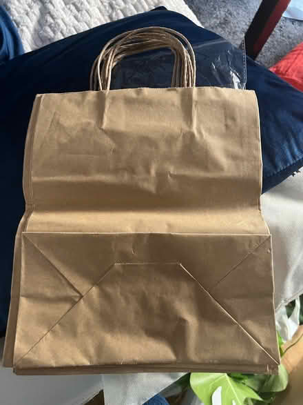 Photo of free Brown Paper Bags (N19) #2