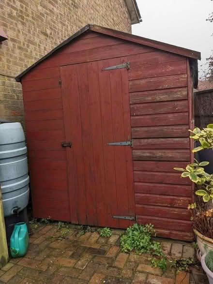 Photo of free 6ft by 8ft shed (Hazlemere HP15) #2