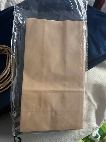 Photo of free Brown Paper Bags (N19) #1