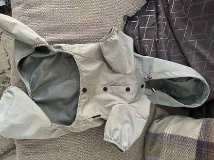 Photo of free Dog Raincoat (DE22) #2
