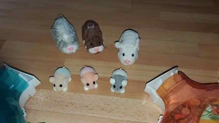 Photo of free Zhu zhu pets, reoffering (Stevenage, Great Ashby, SG1) #2