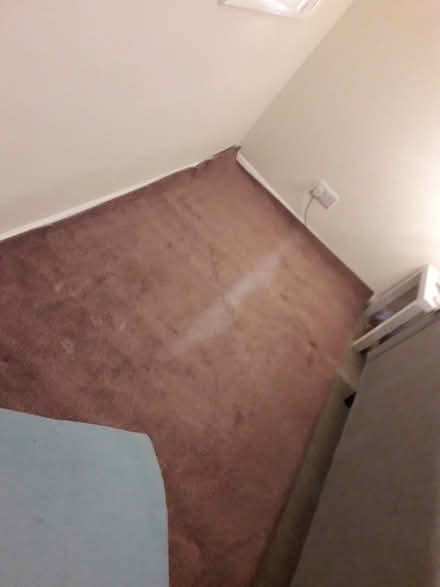 Photo of free Carpet remnant (Twerton) #1