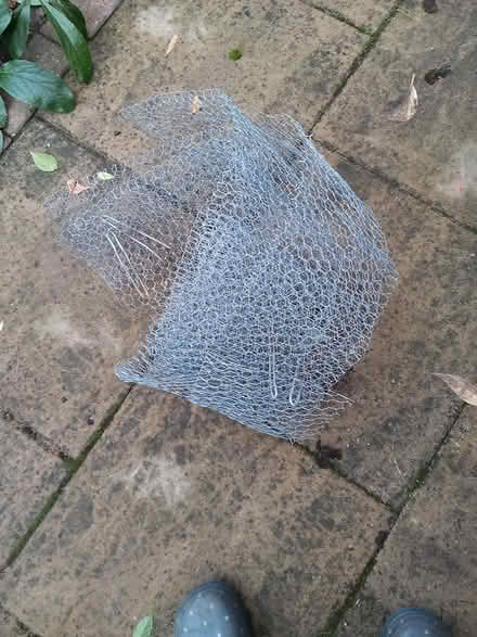 Photo of free Wire Netting (IP3 - Near Ipswich Hospital) #1