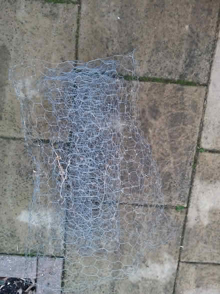 Photo of free Wire Netting (IP3 - Near Ipswich Hospital) #2