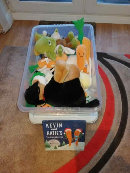 Photo of free Soft Toys (Linslade LU7) #1
