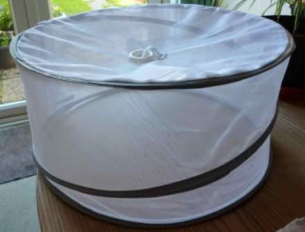Photo of free Pop-up Food Cover (Cheltenham GL53) #1