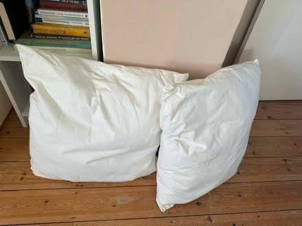 Photo of free 2 x 60x60cm cushion inserts new (Hollingbury, BN1) #1