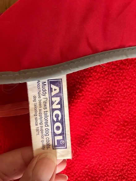 Photo of free Dog harnesses and coats (Purbrook PO7) #2