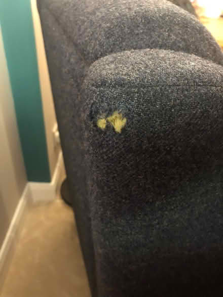 Photo of free Chair (Florence park area) #2
