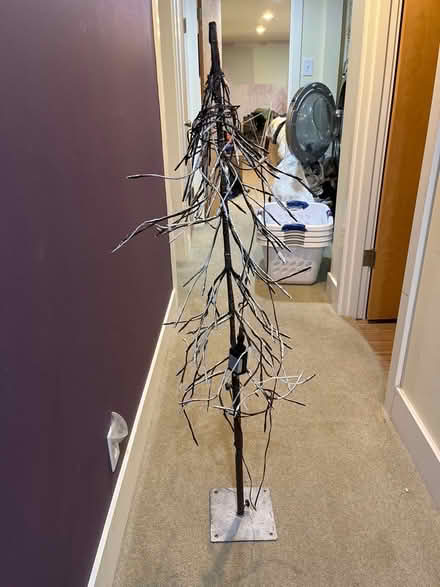Photo of free Twiggy Holiday Tree (Ballard) #1