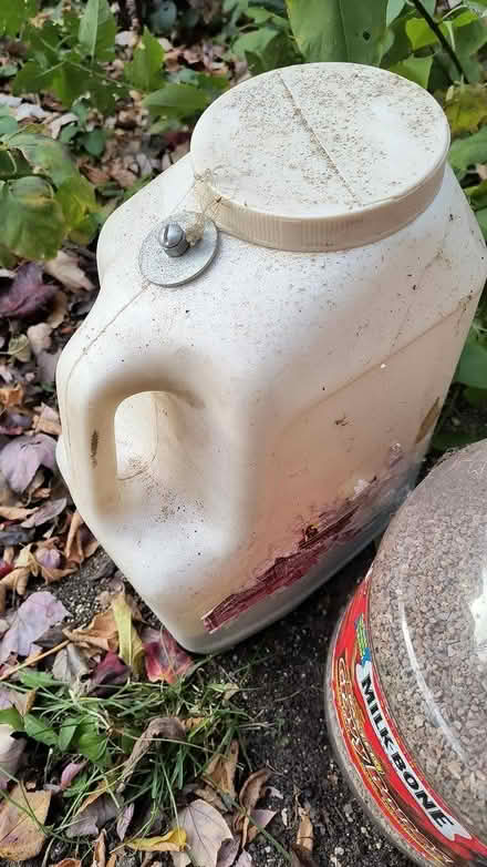 Photo of free About 10 lbs of Oil-Dry (Westmont) #2