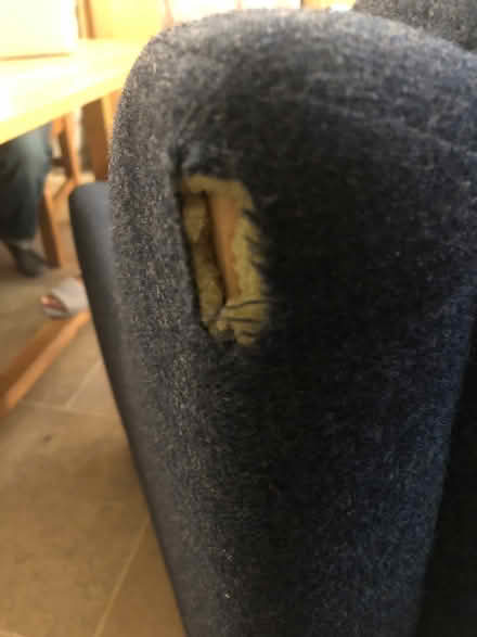 Photo of free Chair (Florence park area) #1