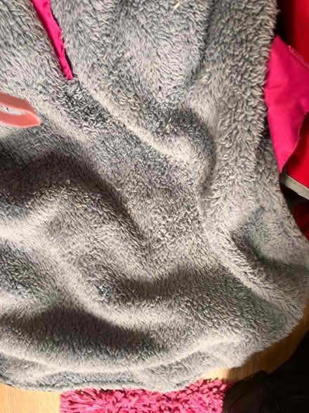 Photo of free Dog harnesses and coats (Purbrook PO7) #1