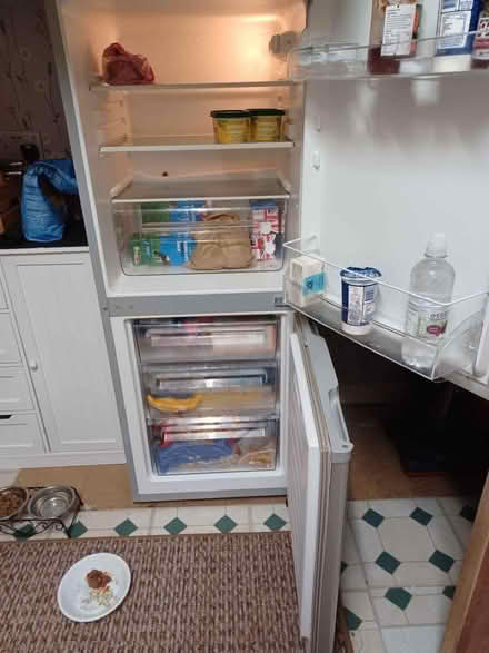 Photo of free fridge-freezer. (Dawley TF4) #1