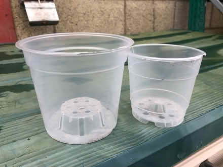 Photo of free Orchid Pots (Tewkesbury) #1