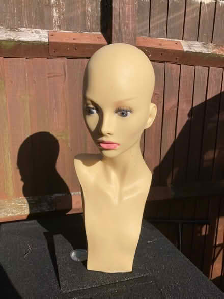 Photo of free Mannequin head (BN43) #1