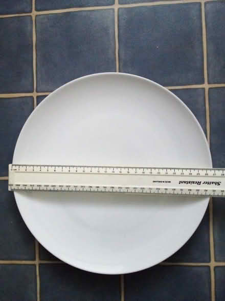 Photo of free Dinner plates (Eastbourne BN21) #1
