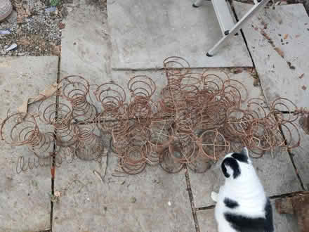 Photo of free Springs (Thornhill DG3) #1
