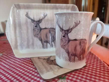 Photo of free Stag mug and small tray (IP77) #1